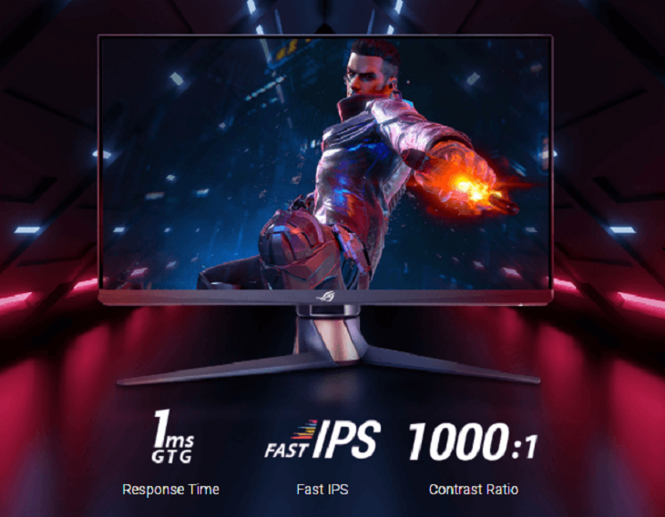 Asus PG259QN IPS/ Full HD/ 360Hz