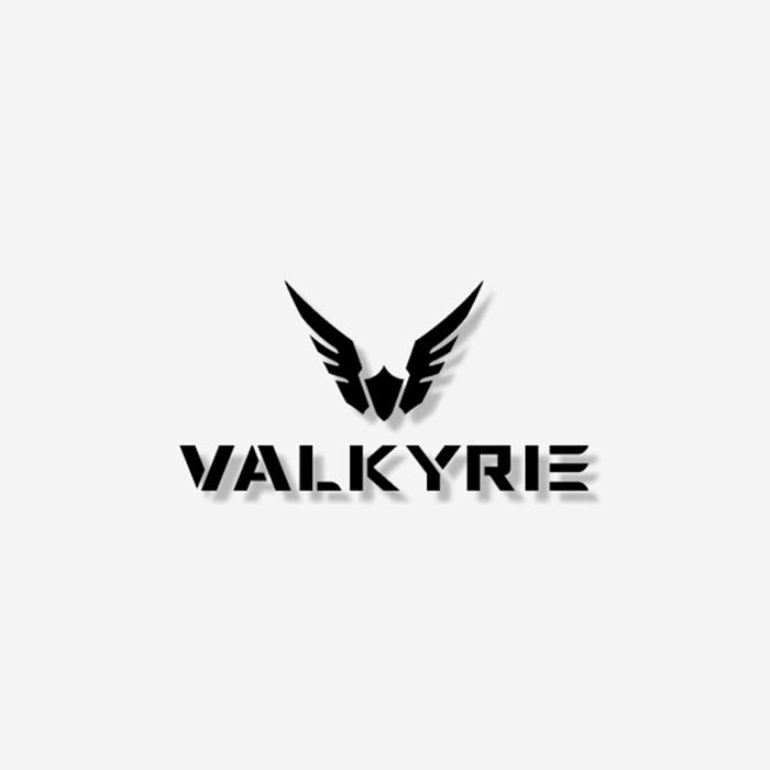 Valkyrie