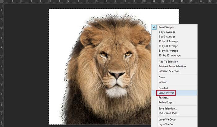 TNC Store Cách Đảo Ngược Vùng Chọn Trong Photoshop