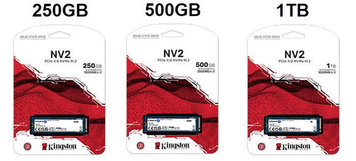 TNC Store Ổ cứng SSD Kingston SNV3S/1000G