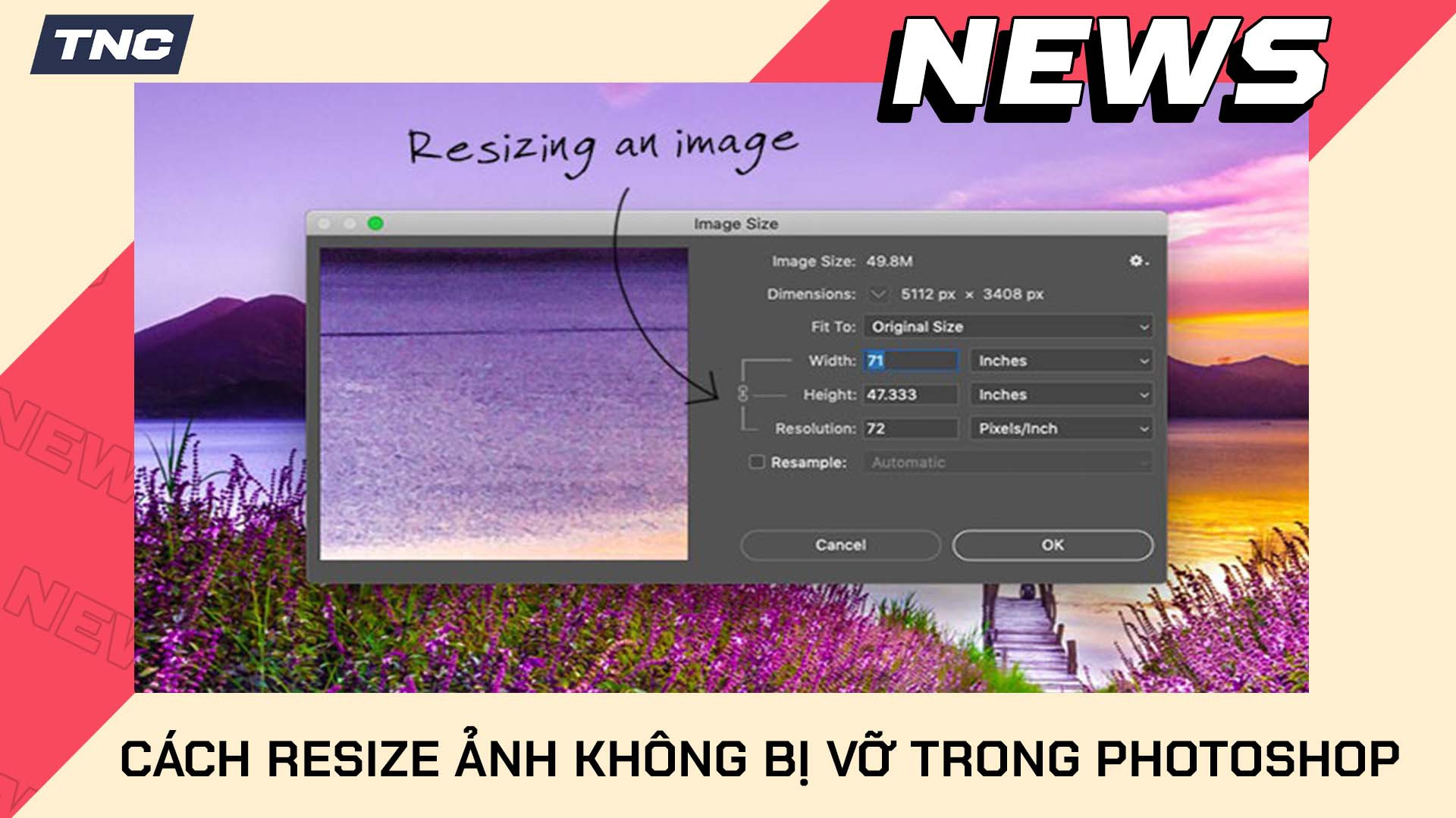 Hướng Dẫn Chi Tiết Cách Resize Ảnh Trong Photoshop